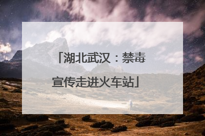 湖北武汉：禁毒宣传走进火车站