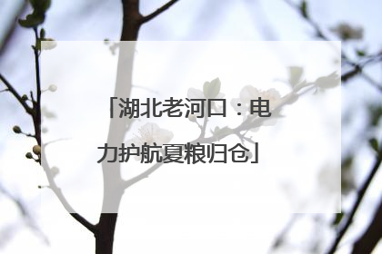 湖北老河口：电力护航夏粮归仓