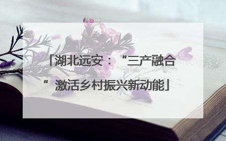 湖北远安：“三产融合”激活乡村振兴新动能
