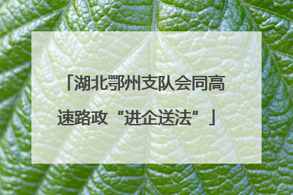 湖北鄂州支队会同高速路政“进企送法”