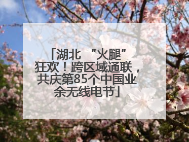 湖北 “火腿” 狂欢！跨区域通联，共庆第85个中国业余无线电节