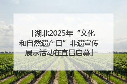 湖北2025年“文化和自然遗产日”非遗宣传展示活动在宜昌启幕