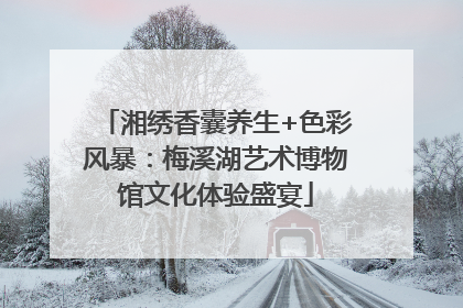 湘绣香囊养生+色彩风暴：梅溪湖艺术博物馆文化体验盛宴
