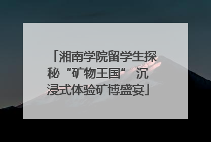 湘南学院留学生探秘“矿物王国” 沉浸式体验矿博盛宴