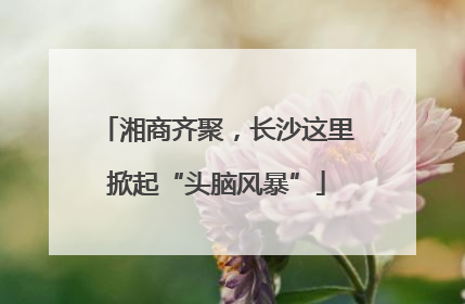 湘商齐聚，长沙这里掀起“头脑风暴”