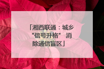 湘西联通：城乡“信号升格” 消除通信盲区