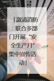 溆浦消防：联合多部门开展“安全生产月”集中宣传活动