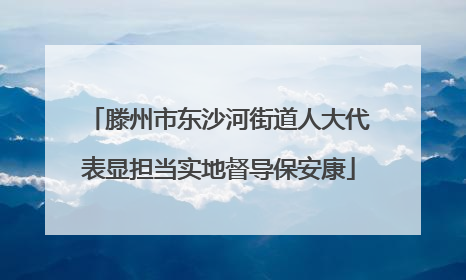 滕州市东沙河街道人大代表显担当实地督导保安康