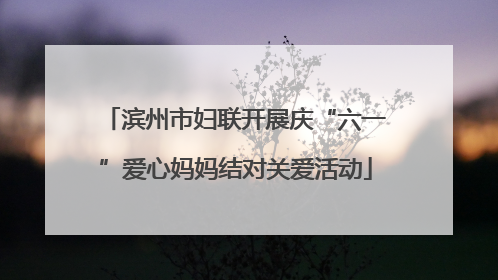 滨州市妇联开展庆“六一”爱心妈妈结对关爱活动