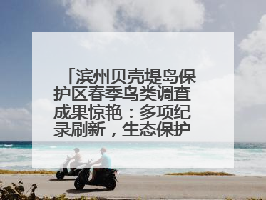 滨州贝壳堤岛保护区春季鸟类调查成果惊艳：多项纪录刷新，生态保护成效显著