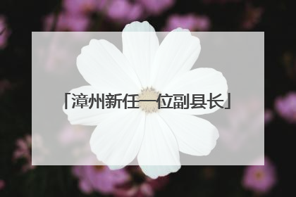 漳州新任一位副县长