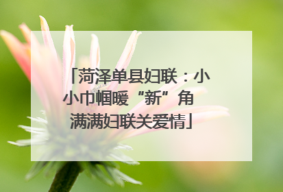 菏泽单县妇联：小小巾帼暖“新”角 满满妇联关爱情