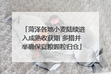 菏泽各地小麦陆续进入成熟收获期 多措并举确保夏粮颗粒归仓