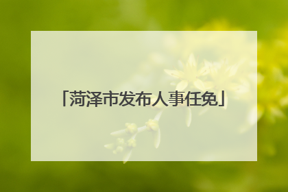 菏泽市发布人事任免