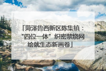 菏泽鲁西新区陈集镇：“四位一体”织密禁烧网 绘就生态新画卷