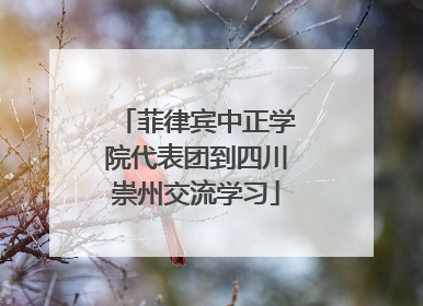 菲律宾中正学院代表团到四川崇州交流学习
