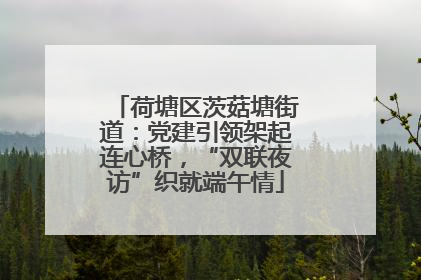 荷塘区茨菇塘街道：党建引领架起连心桥，“双联夜访”织就端午情