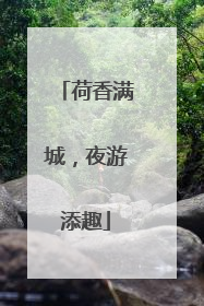 荷香满城，夜游添趣