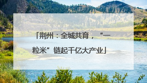 荆州：全城共育，“一粒米”链起千亿大产业