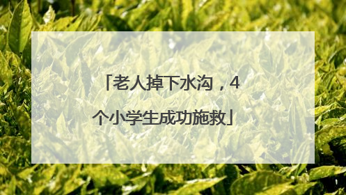 老人掉下水沟，4个小学生成功施救