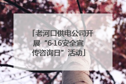 老河口供电公司开展“6·16安全宣传咨询日”活动