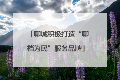 聊城积极打造“聊档为民”服务品牌