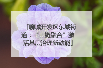 聊城开发区东城街道：“三链融合”激活基层治理新动能