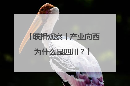 联播观察丨产业向西 为什么是四川？