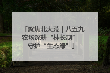 聚焦北大荒｜八五九农场深耕“林长制” 守护“生态绿”