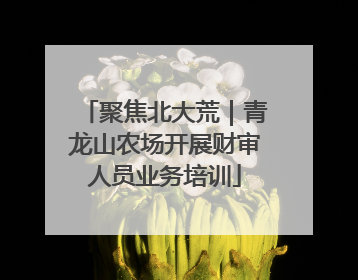 聚焦北大荒｜青龙山农场开展财审人员业务培训