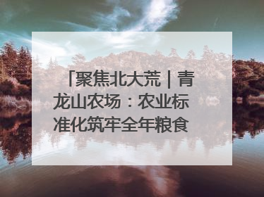 聚焦北大荒｜青龙山农场：农业标准化筑牢全年粮食安全根基