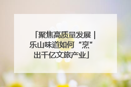 聚焦高质量发展｜乐山味道如何“烹”出千亿文旅产业