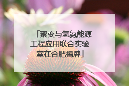 聚变与氢氨能源工程应用联合实验室在合肥揭牌