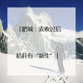 肥城：麦收过后秸秆有“新生”