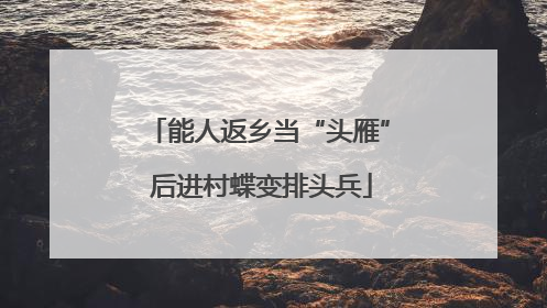 能人返乡当“头雁” 后进村蝶变排头兵