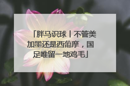 胖马识球丨不管美加墨还是西葡摩，国足唯留一地鸡毛