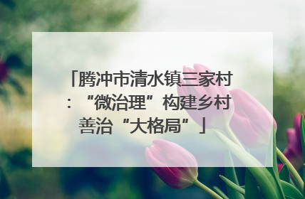 腾冲市清水镇三家村：“微治理”构建乡村善治“大格局”