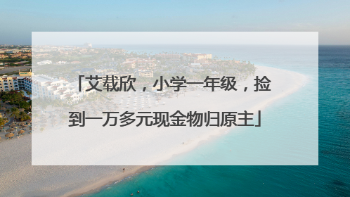 艾载欣，小学一年级，捡到一万多元现金物归原主