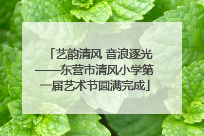 艺韵清风 音浪逐光——东营市清风小学第一届艺术节圆满完成