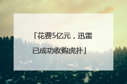 花费5亿元，迅雷已成功收购虎扑