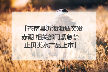 苍南县近海海域突发赤潮 相关部门紧急禁止贝类水产品上市