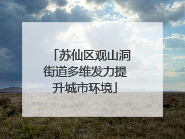 苏仙区观山洞街道多维发力提升城市环境