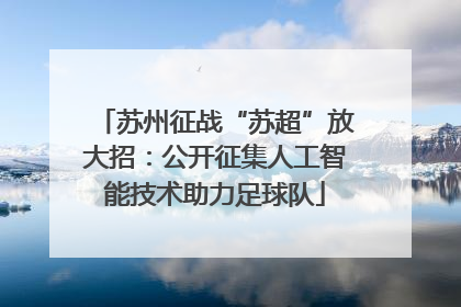 苏州征战“苏超”放大招：公开征集人工智能技术助力足球队