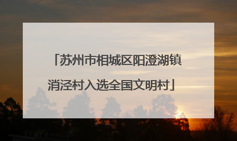 苏州市相城区阳澄湖镇消泾村入选全国文明村