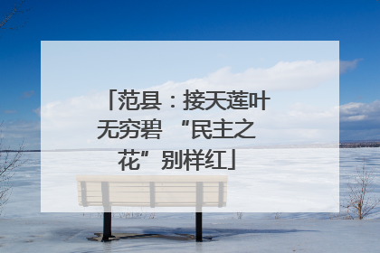 范县：接天莲叶无穷碧 “民主之花”别样红