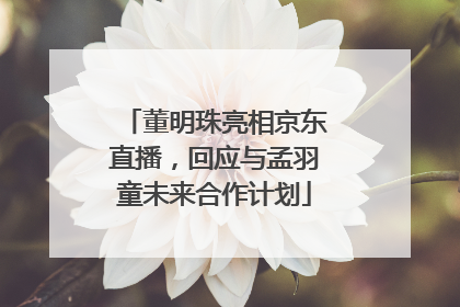 董明珠亮相京东直播，回应与孟羽童未来合作计划
