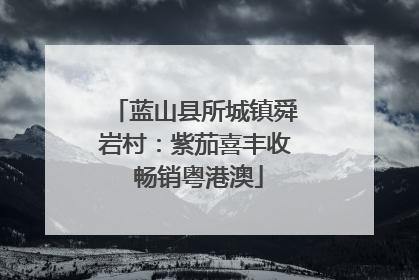 蓝山县所城镇舜岩村：紫茄喜丰收 畅销粤港澳
