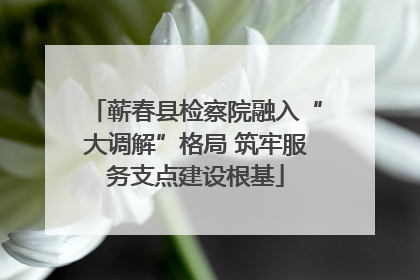 蕲春县检察院融入“大调解”格局 筑牢服务支点建设根基