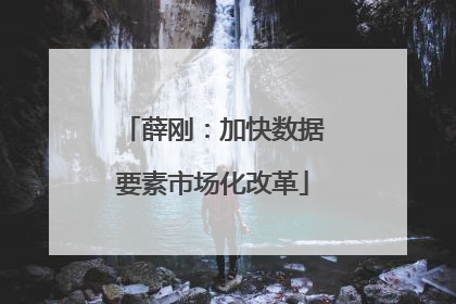 薛刚：加快数据要素市场化改革