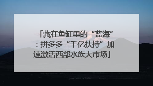 藏在鱼缸里的“蓝海”：拼多多“千亿扶持”加速激活西部水族大市场